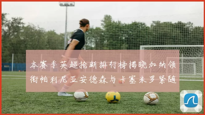 本赛季英超抢断排行榜揭晓加纳领衔帕利尼亚安德森与卡塞米罗紧随其后